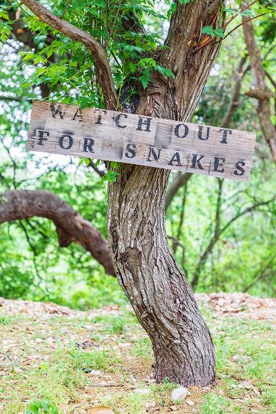 Wilson, Emily M. 아티스트의 Castroville-Texas-USA-Sign warning snakes in the Texas Hill Country작품입니다.